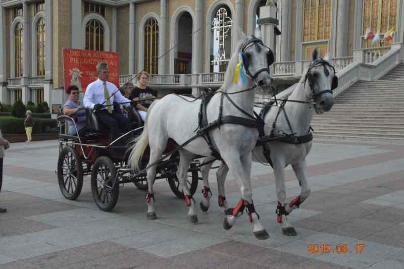 Konna pielgrzymka do Lichenia