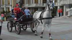 Konna pielgrzymka do Lichenia