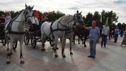 Konna pielgrzymka do Lichenia