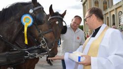Konna pielgrzymka do Lichenia
