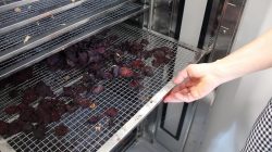Brudzew. Otwarcie Inkubatora Kuchennego w Krwonach
