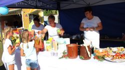 Smaszew. Piknik rodzinny "Pod chmurką"