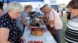Przykona. Piknik sołecki