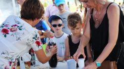 Przykona. Piknik sołecki