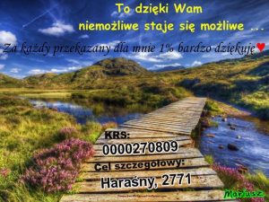 1%. Mariusz Haraśny