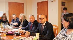 Elektrownia Kawasaki. Japończycy zaczynają od Turku