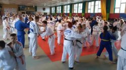 Judo Tuliszków. Camp szkoleniowy w Bytomiu