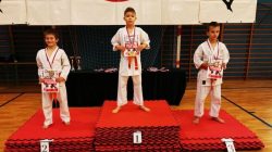 18 medali i puchar dla drużyny KSiSW