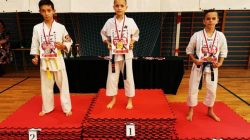 18 medali i puchar dla drużyny KSiSW