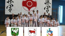 18 medali i puchar dla drużyny KSiSW