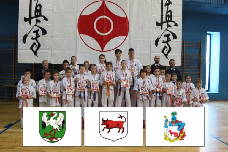 18 medali i puchar dla drużyny KSiSW