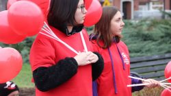 Turek. Szlachetna paczka 2019