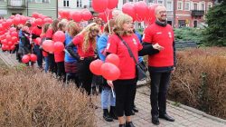 Turek. Szlachetna paczka 2019