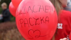 Turek. Szlachetna paczka 2019