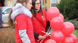 Turek. Szlachetna paczka 2019