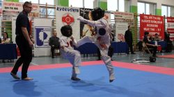 Kawęczyn. Mistrzostwa Sportów Walki Karate Kyokushin