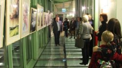 Turek. Akwarela Water Colour