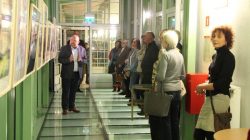 Turek. Akwarela Water Colour