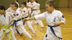Egzamin Oyama Karate na stopnie uczniowskie