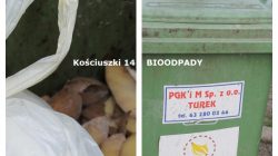 Turek. Kontrola segregacji śmieci