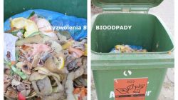 Turek. Kontrola segregacji śmieci