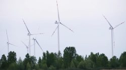 Farma Wiatrowa Przykona