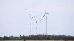 Farma Wiatrowa Przykona