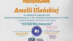 Notebooki dla SP 1 Turek