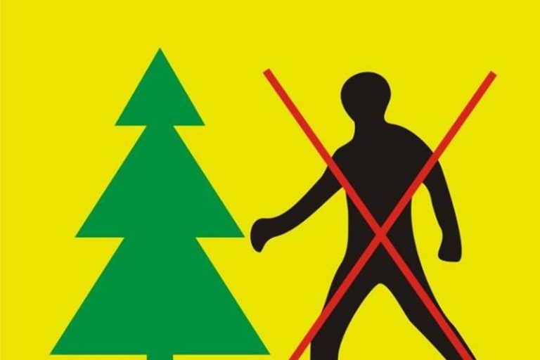 Grafika zakazu wstępu do lasu