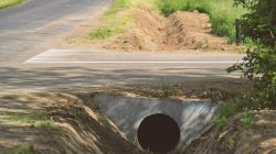 Malanów. Droga Skarżyn-Kolonia