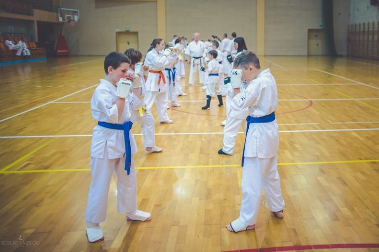 Turek. Egzamin karate