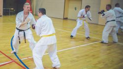 karate KSiSW Turek