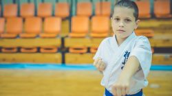 karate KSiSW Turek