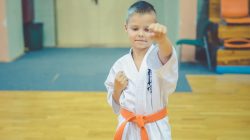 karate KSiSW Turek
