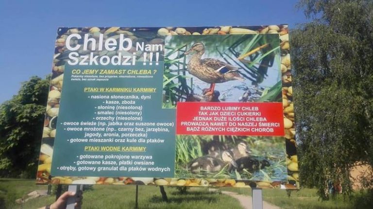 Tablica informacyjna o dokarmianiu ptaków