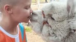 KSiSW Turek. Festyn sportowo-rekreacyjny