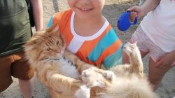 KSiSW Turek. Festyn sportowo-rekreacyjny