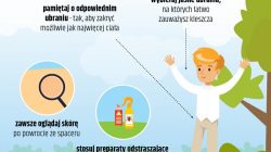 Bezpieczne wakacje. Sezon na kleszcze