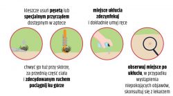 Bezpieczne wakacje. Sezon na kleszcze