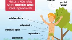 Bezpieczne wakacje. Sezon na kleszcze