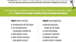 Bezpieczne wakacje. Sezon na kleszcze