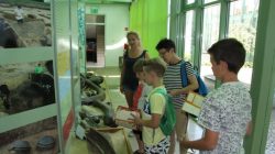 Turek. Warsztaty w muzeum