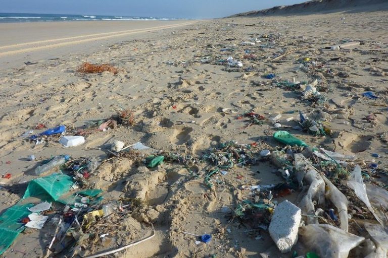 wakacje - zanieczyszczona plaża