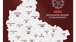 Kto mija się z prawdą? (mapa Wielkopolski z liczbą przypadków koronawirusa w powiatach) - stan na 15.07.2020 r.