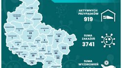 Aktywne przypadki Covid-19 w Wielkopolsce - stan na 31.07.2020 r.