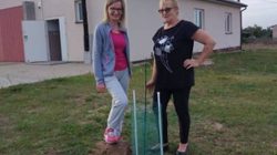 Galew. Akcja #sadziMY
