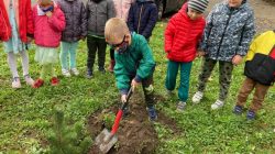 Brudzew. Dzień Drzewa