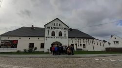 Stowarzyszenia „Koniczynka”