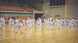 Turek. Egzamin karate kyokushin