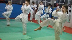 Turkowski Klub Karate OYAMA - egzaminy